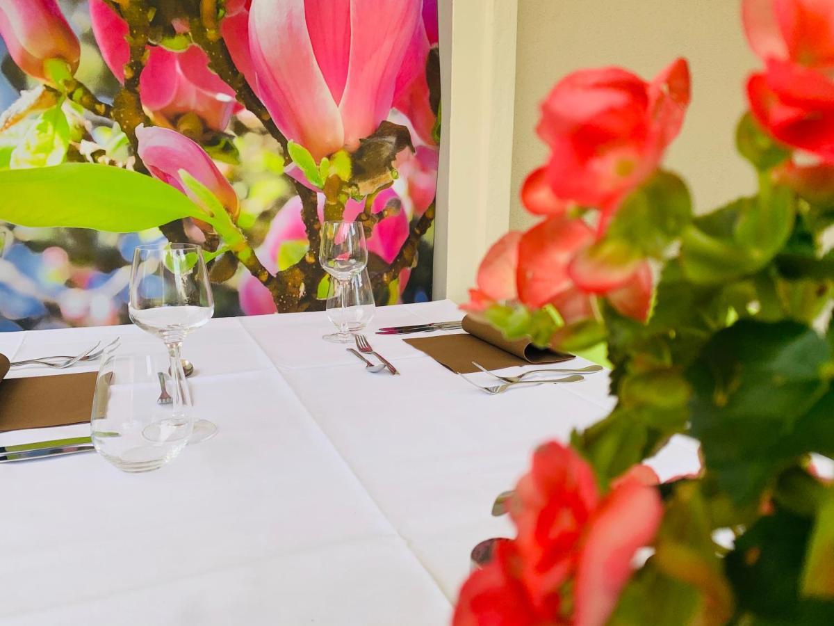 Zu Den Linden - Radebeul Pension Mit Restaurant Ngoại thất bức ảnh